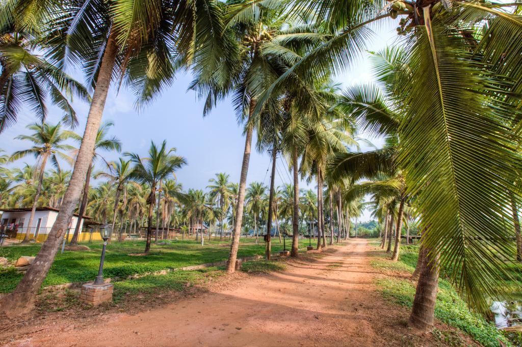 River Roost Resort Mangalore Exterior photo