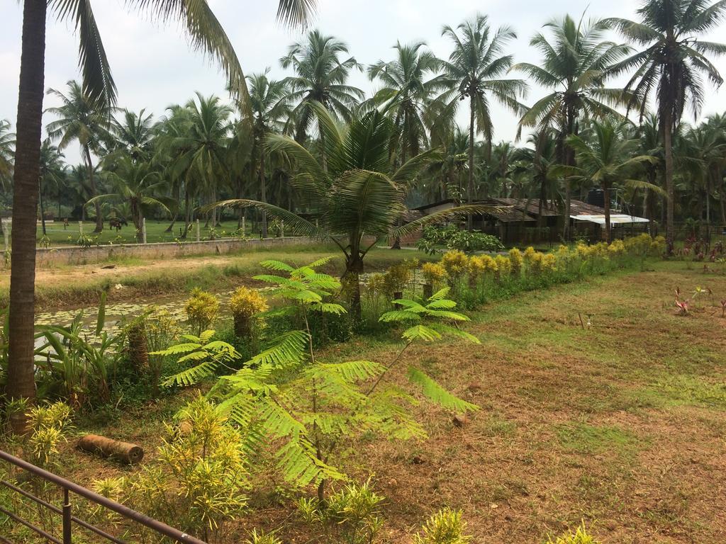 River Roost Resort Mangalore Exterior photo